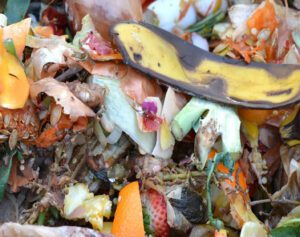 reciclagem na cidade de Niterói