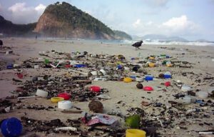 empresa de limpeza e inspeção doméstica